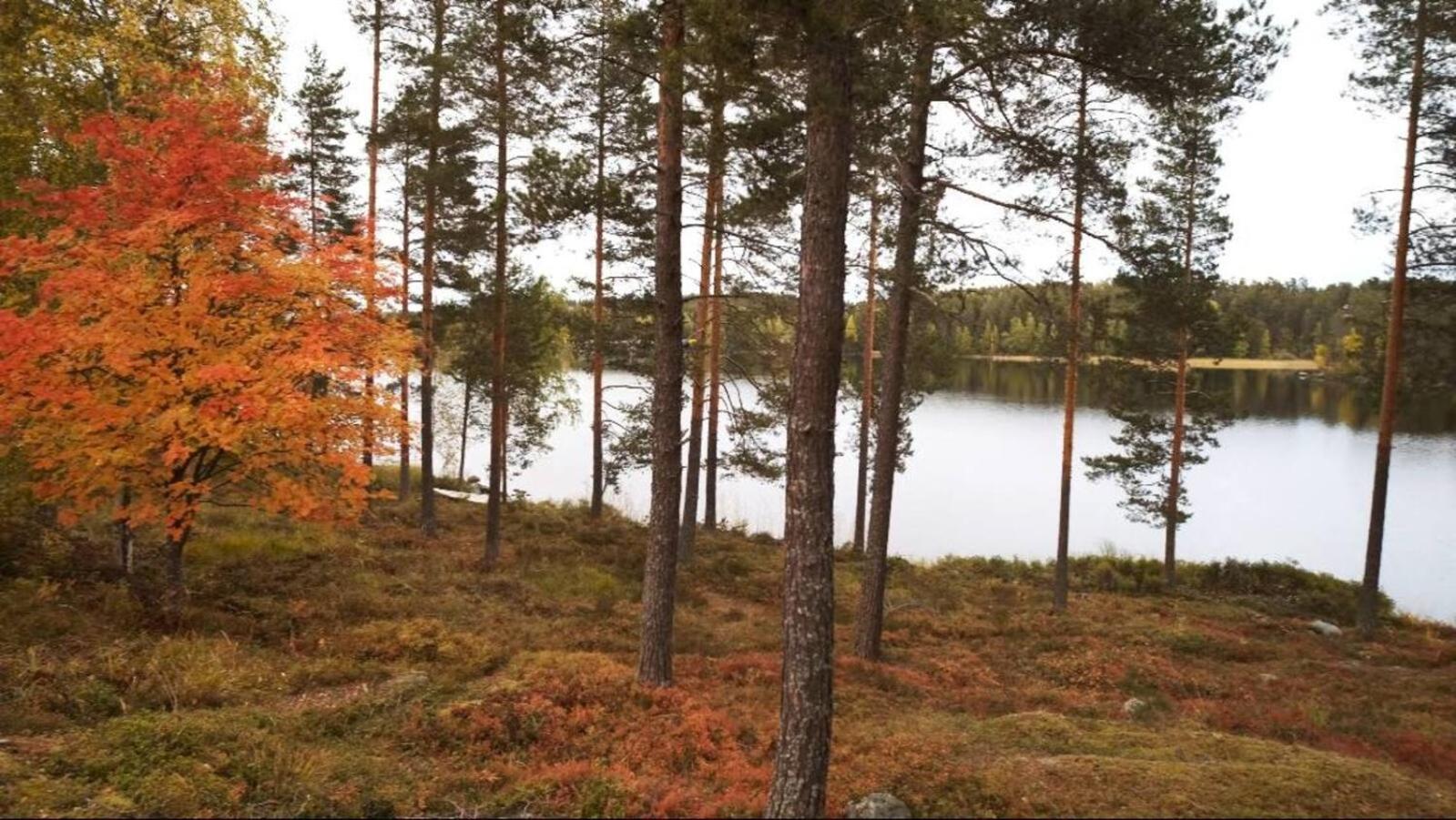 Punkaharju Resort Екстериор снимка